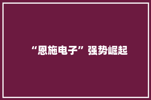“恩施电子”强势崛起