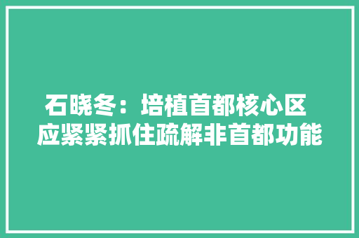 石晓冬：培植首都核心区 应紧紧抓住疏解非首都功能这个牛鼻子 石晓冬：培植首都核心区 应紧紧抓住疏解非首都功能这个牛鼻子 互联通信