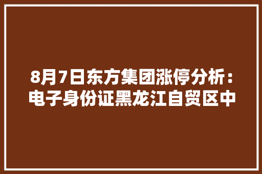 8月7日东方集团涨停分析：电子身份证黑龙江自贸区中俄贸易概念热股