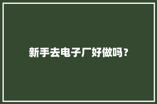 新手去电子厂好做吗？