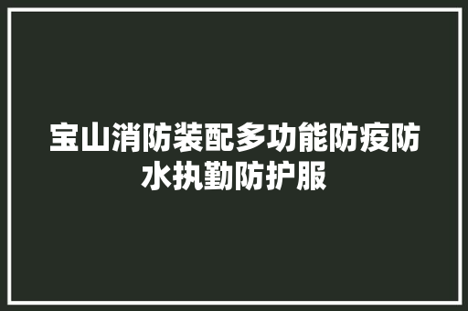 宝山消防装配多功能防疫防水执勤防护服