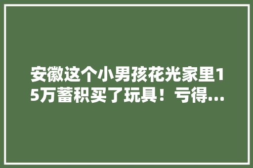 安徽这个小男孩花光家里15万蓄积买了玩具！亏得…… 安徽这个小男孩花光家里15万蓄积买了玩具！亏得…… 智能科技