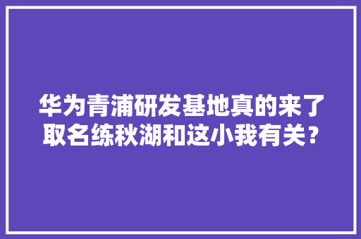 华为青浦研发基地真的来了取名练秋湖和这小我有关？