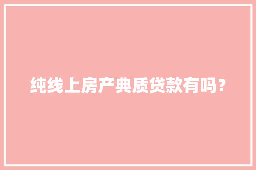 纯线上房产典质贷款有吗？