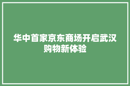 华中首家京东商场开启武汉购物新体验