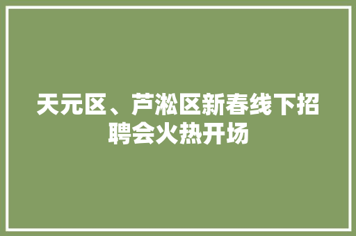 天元区、芦淞区新春线下招聘会火热开场