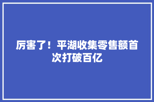 厉害了！平湖收集零售额首次打破百亿 厉害了！平湖收集零售额首次打破百亿 智能家居