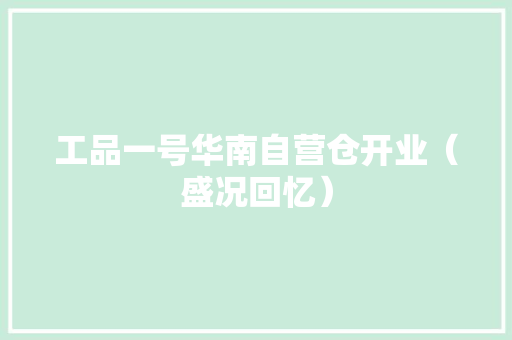 工品一号华南自营仓开业（盛况回忆） 工品一号华南自营仓开业（盛况回忆） 智能科技