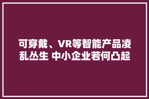 可穿戴、VR等智能产品凌乱丛生 中小企业若何凸起重围？