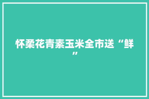 怀柔花青素玉米全市送“鲜”