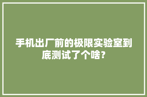 手机出厂前的极限实验室到底测试了个啥？