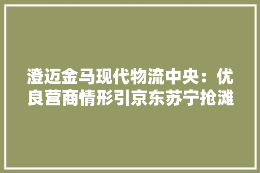 澄迈金马现代物流中央：优良营商情形引京东苏宁抢滩