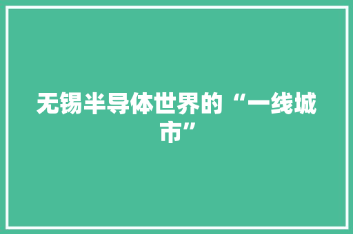 无锡半导体世界的“一线城市”