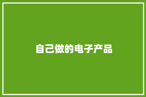 自己做的电子产品