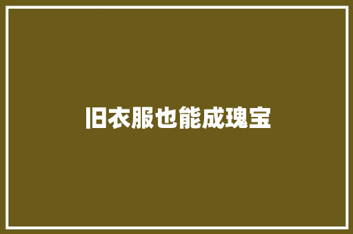 旧衣服也能成瑰宝 旧衣服也能成瑰宝 智能家居