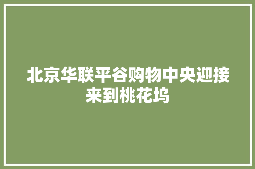 北京华联平谷购物中央迎接来到桃花坞