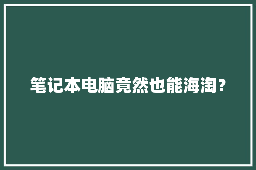 笔记本电脑竟然也能海淘？