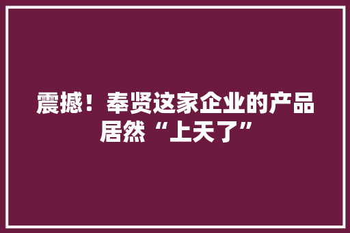震撼！奉贤这家企业的产品居然“上天了” 震撼！奉贤这家企业的产品居然“上天了” 人工智能