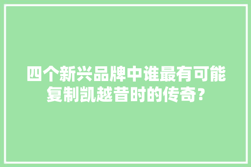 四个新兴品牌中谁最有可能复制凯越昔时的传奇？