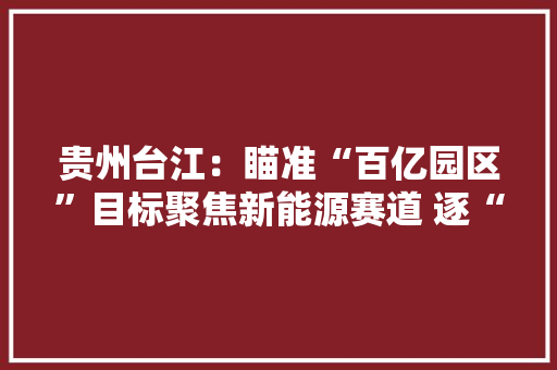 贵州台江：瞄准“百亿园区”目标聚焦新能源赛道 逐“绿”前行