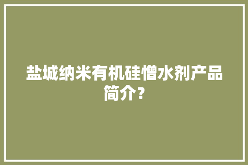 盐城纳米有机硅憎水剂产品简介？