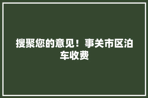 搜聚您的意见！事关市区泊车收费