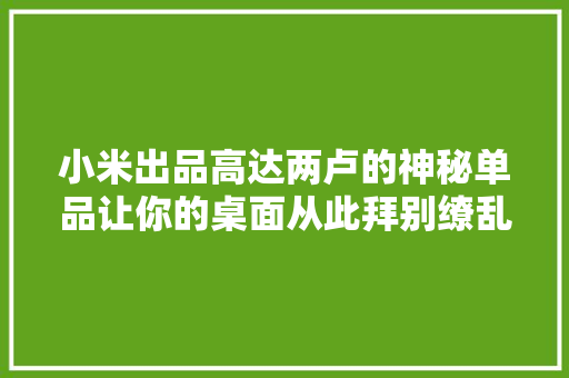 小米出品高达两卢的神秘单品让你的桌面从此拜别缭乱