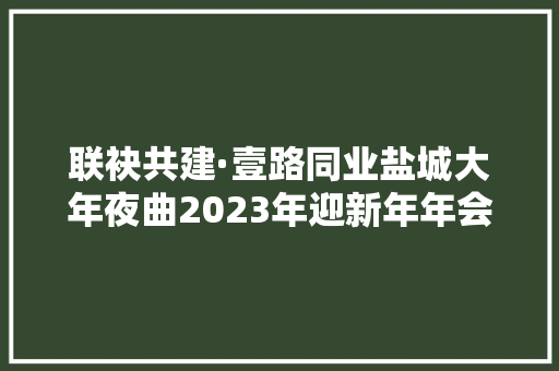 联袂共建·壹路同业盐城大年夜曲2023年迎新年年会