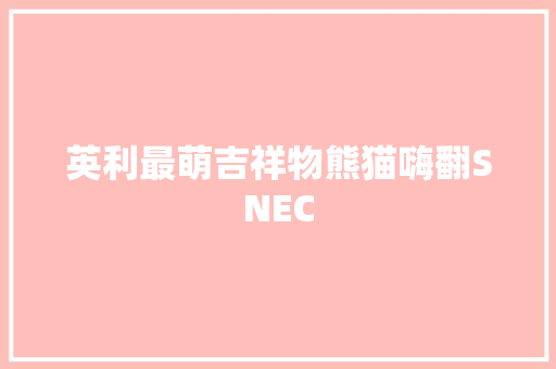 英利最萌吉祥物熊猫嗨翻SNEC