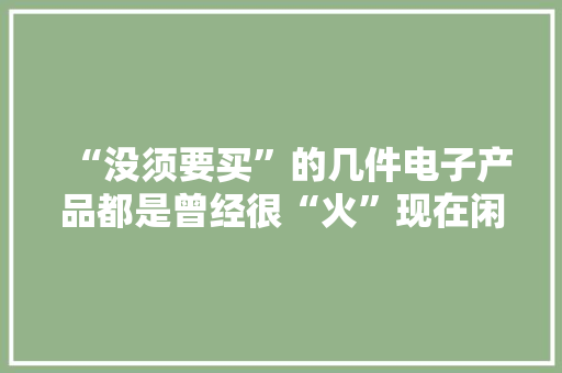 “没须要买”的几件电子产品都是曾经很“火”现在闲置吃灰的
