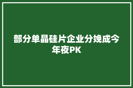 部分单晶硅片企业分娩成今年夜PK