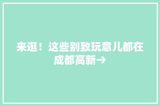来逛！这些别致玩意儿都在成都高新→