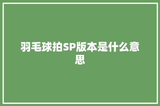 羽毛球拍SP版本是什么意思
