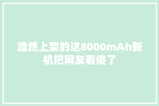 溘然上架的这8000mAh新机把网友看傻了