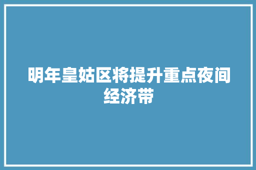 明年皇姑区将提升重点夜间经济带