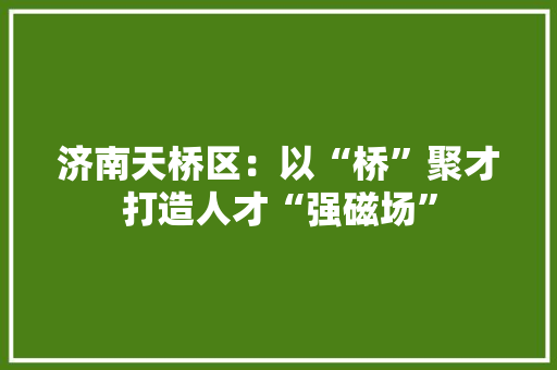 济南天桥区：以“桥”聚才打造人才“强磁场”