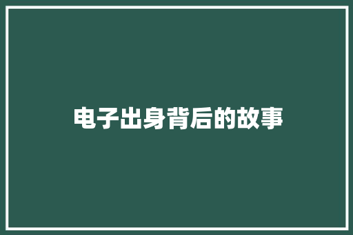 电子出身背后的故事