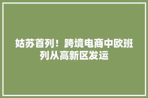 姑苏首列！跨境电商中欧班列从高新区发运
