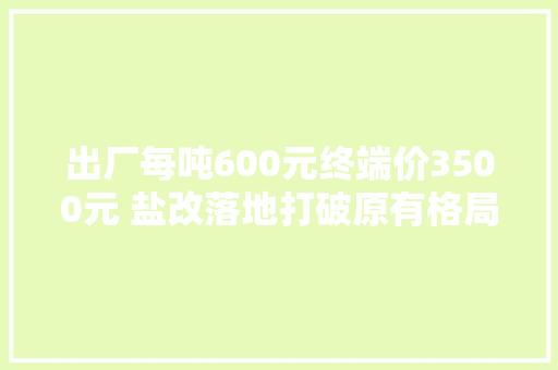 出厂每吨600元终端价3500元 盐改落地打破原有格局