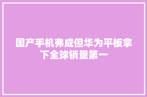 国产手机弗成但华为平板拿下全球销量第一