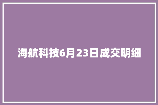 海航科技6月23日成交明细