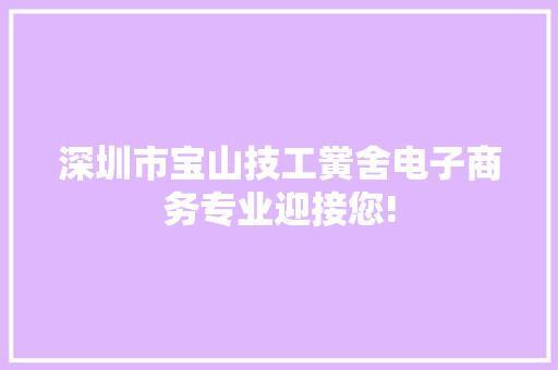 深圳市宝山技工黉舍电子商务专业迎接您!