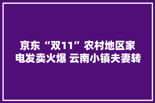 京东“双11”农村地区家电发卖火爆 云南小镇夫妻转战专卖店