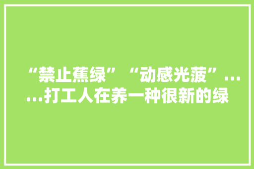 “禁止蕉绿”“动感光菠”……打工人在养一种很新的绿植