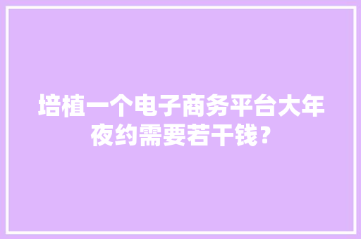 培植一个电子商务平台大年夜约需要若干钱？ 培植一个电子商务平台大年夜约需要若干钱？ 智能科技