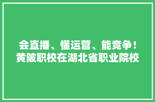 会直播、懂运营、能竞争！黄陂职校在湖北省职业院校技能大年夜赛中斩获佳绩 会直播、懂运营、能竞争！黄陂职校在湖北省职业院校技能大年夜赛中斩获佳绩 人工智能