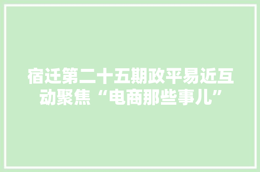 宿迁第二十五期政平易近互动聚焦“电商那些事儿”
