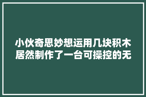 小伙奇思妙想运用几块积木居然制作了一台可操控的无人机。