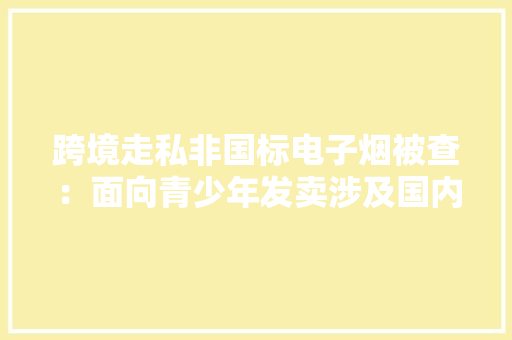 跨境走私非国标电子烟被查：面向青少年发卖涉及国内6省份