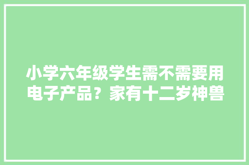 小学六年级学生需不需要用电子产品？家有十二岁神兽 （9）
